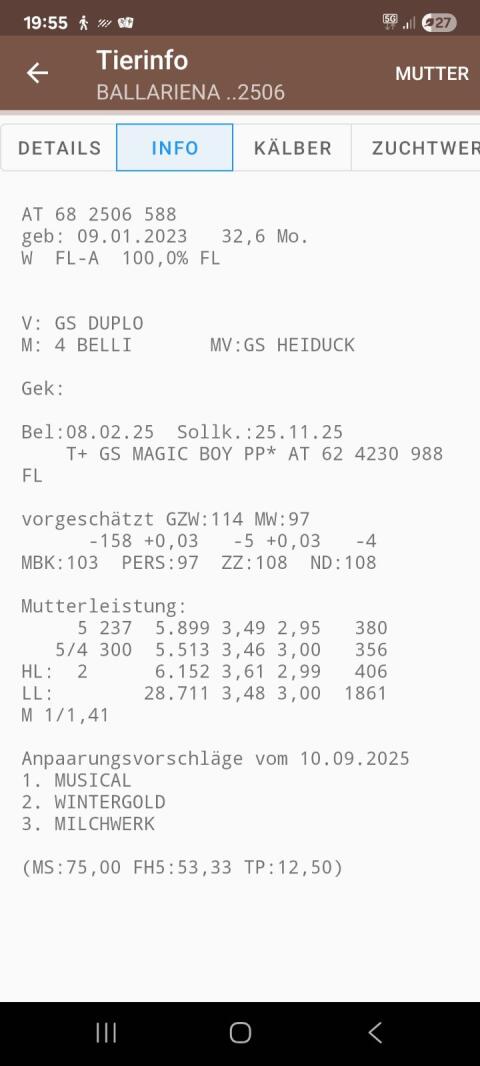 Trächtig behornte  BIO Fleckviehkalbin zu verkaufen