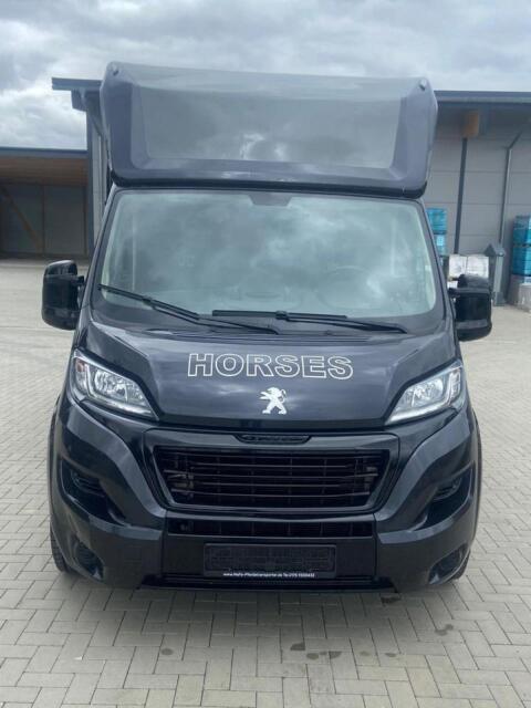 Pferdetransporter, 1-2 Pferde, 3 Sitzer, Peugeot, Bj. 2022