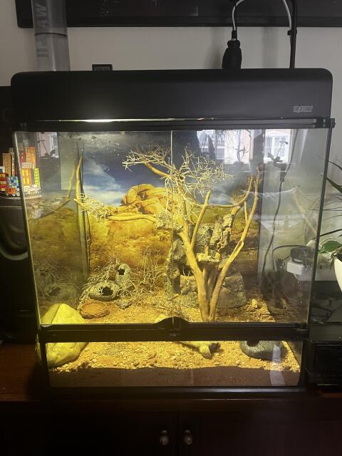 Terrarium, Einrichtung