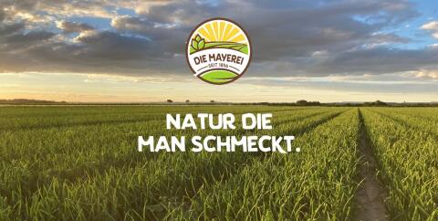 Praktikum Sommer/Herbst 2026