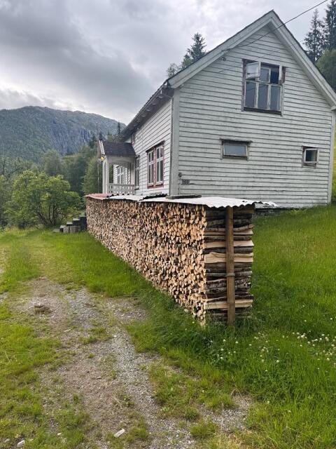 Brennholz
