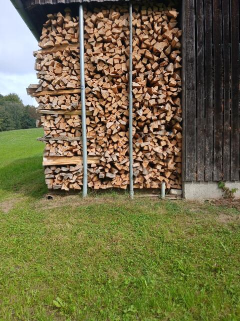 Brennholz