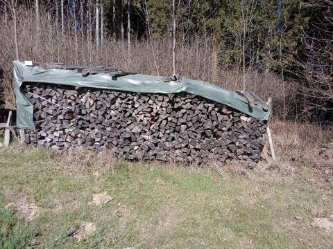 Buchenholz