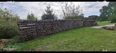 Brennholz