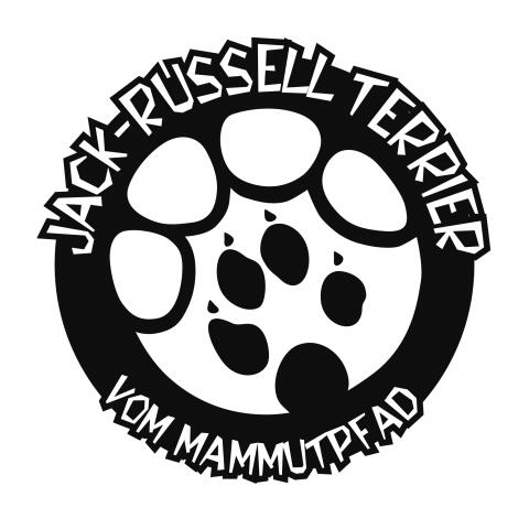 Jack-Russell Terrier Welpen vom Mammutpfad