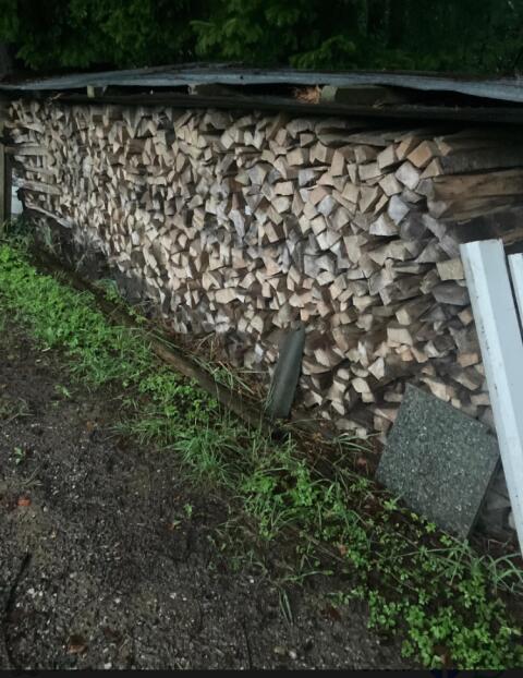 Buchenbrennholz