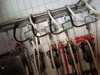 Rohrmelkanlage Milchtank, Waschautomat und Plattenkühler