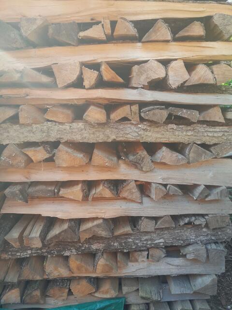 Brennholz