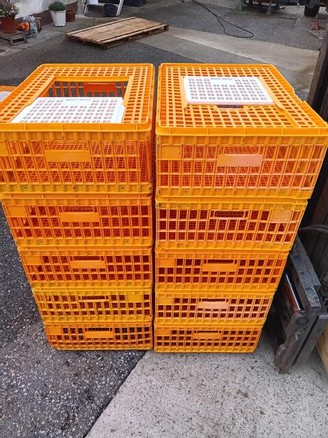 Transportkisten für Geflügel