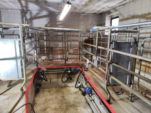 Tandem Melkstand 1/1/2