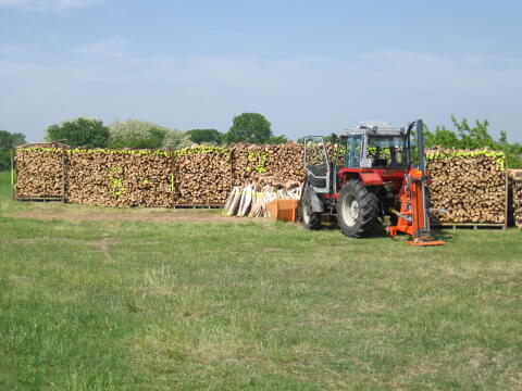 Brennholz, Buchenholz 33 cm trocken