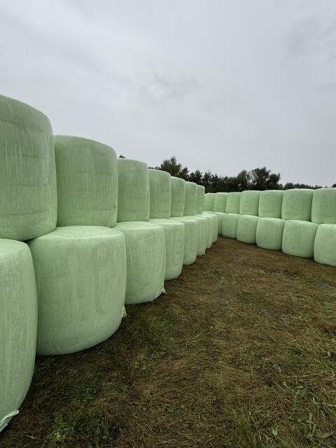 Maisballen Silageballen