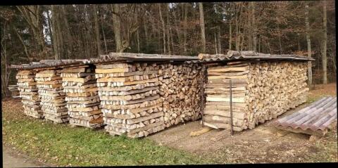 Buchenholz