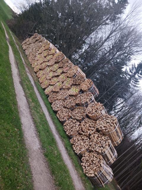 Brennholz