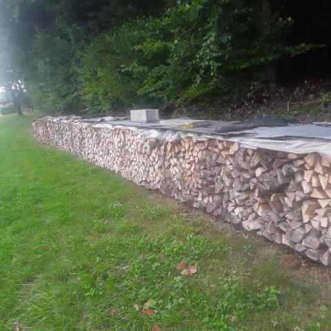 Buchenbrennholz