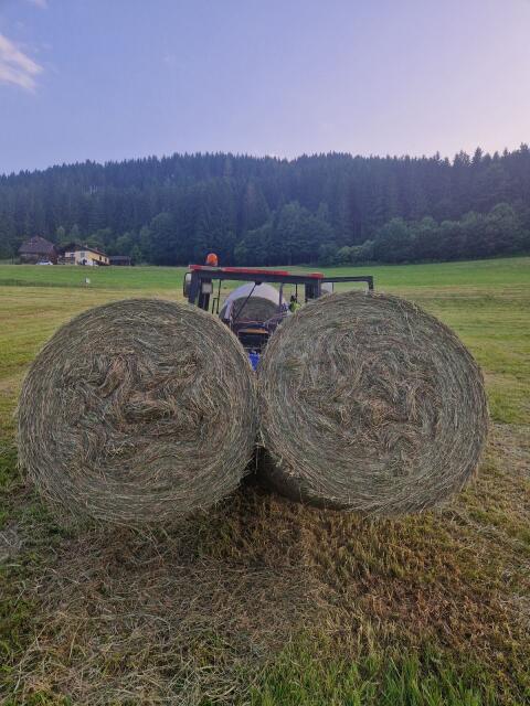 Mähwiese