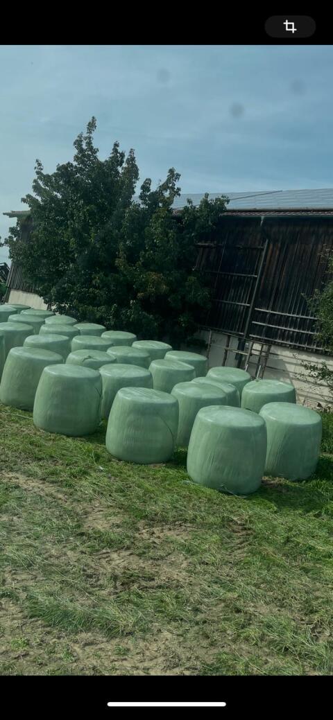 Maisilageballen