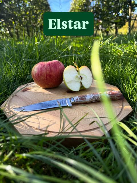 Apfel ab Hof Verkauf