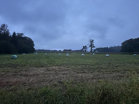 Silageballen