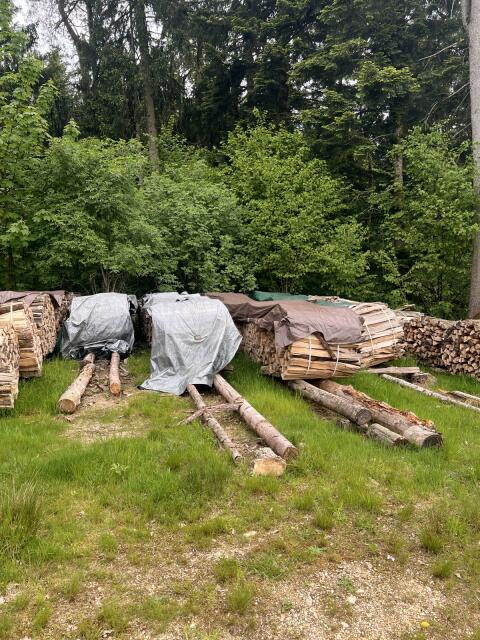 Brennholz hart