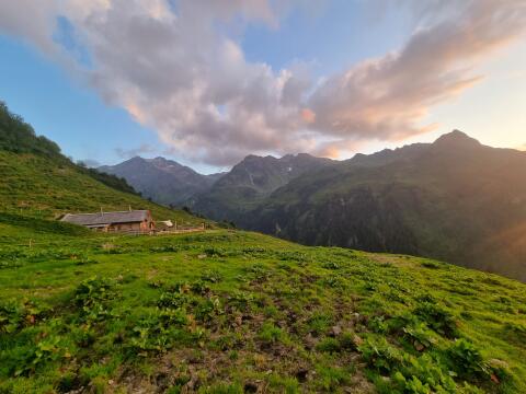 Satteinser Alp