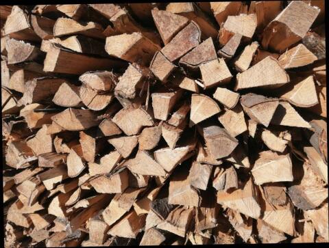 Brennholz hart, trocken