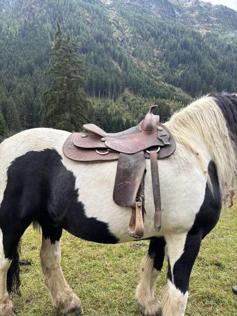 Westernsattel Bobs Saddlery