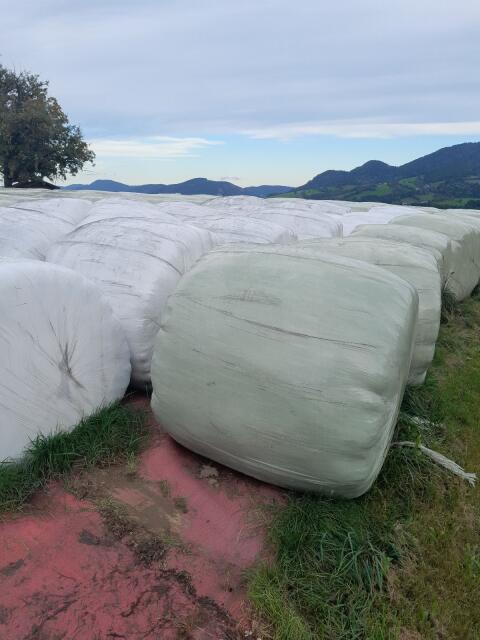 Bio Siloballen