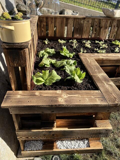 Europaletten Hochbeet Bausatz