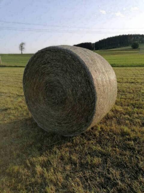 Heuballen 1. Schnitt 2025
