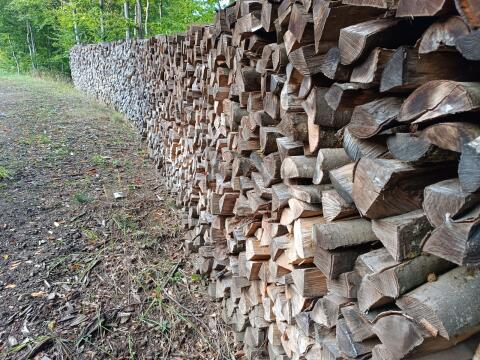 Brennholz