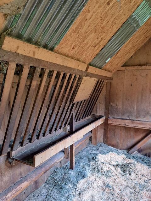 Schafunterstand / Stall