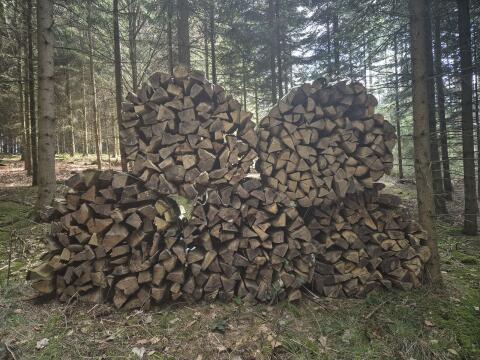 Brennholz
