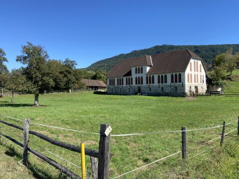 Weide 1,7 ha zu vergeben
