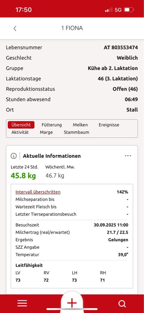 Verkaufe HF Kuh in der 3. Laktation