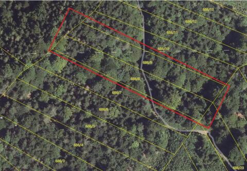 Waldgrundstück 5.860 m²