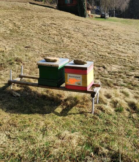 Aufstellplatz für Bienen