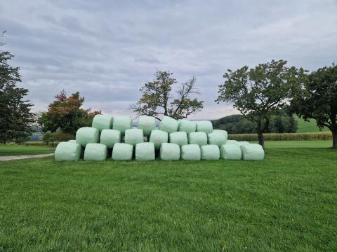 Silageballen