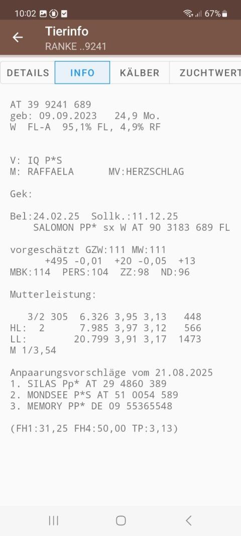 Bio Zuchtkalbinnen