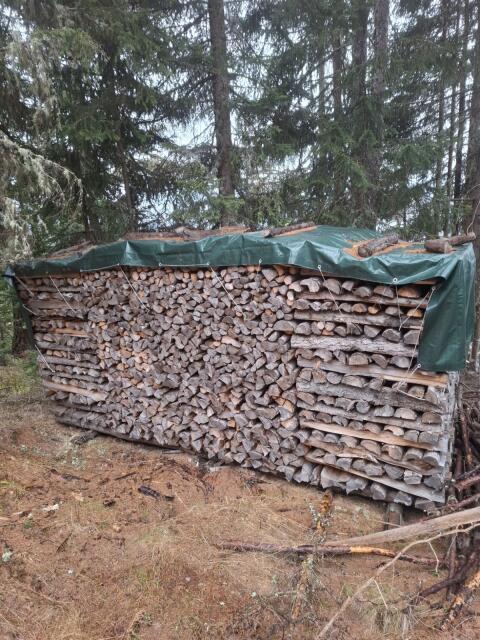 Brennholz Fichte trocken