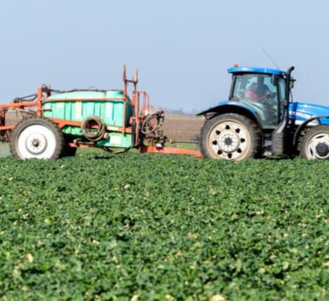 Ich suche als Saisonarbeit am Feld