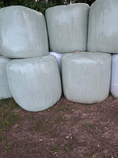 Silage, Luzerne, Grassilage