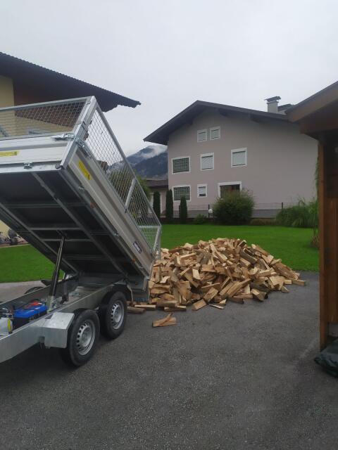 Brennholz