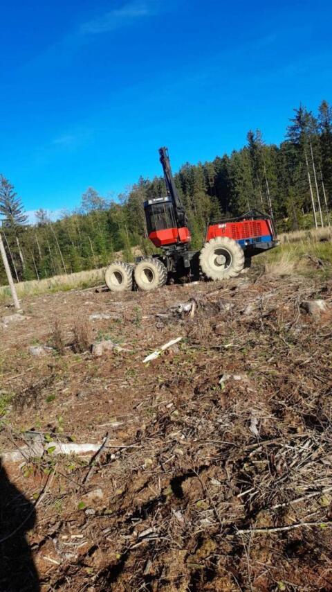Holzschlägerung und Bringung