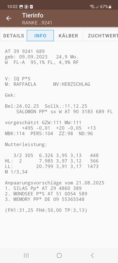 Bio Zuchtkalbinnen