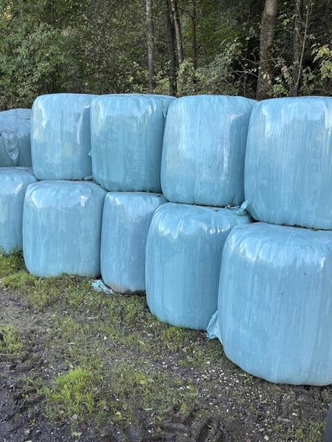 Silageballen Ernte 2025