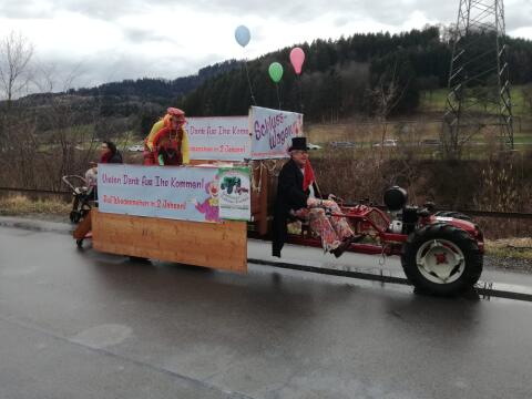 Einachsschlepper AEBI 53