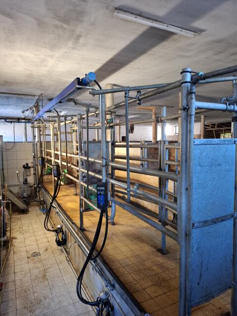Melkstand 3er Tandem mit Milkmaster und Releaser