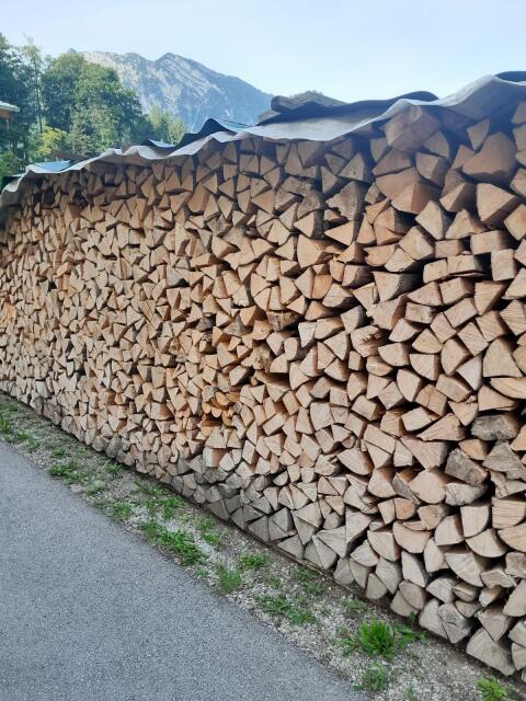 Brennholz