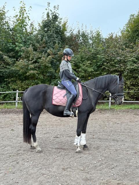 Shadow River & Hugo the Boss